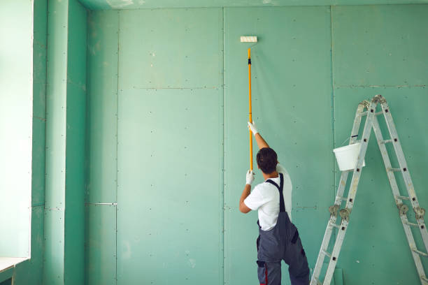 Best Black Mold Removal  in Wynantskill, NY