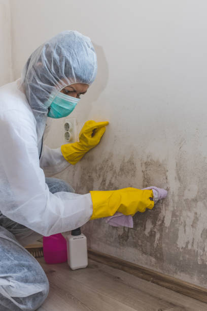 Best Dehumidification Services  in Wynantskill, NY