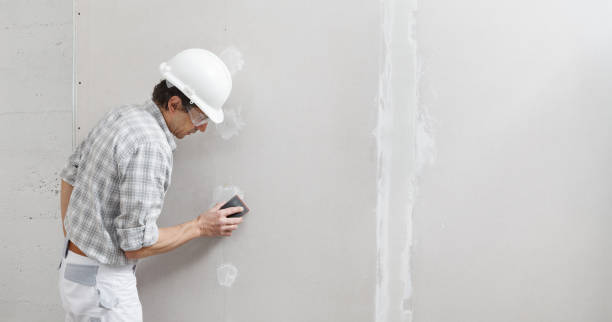 Best Asbestos and Lead Testing During Mold Inspection  in Wynantskill, NY