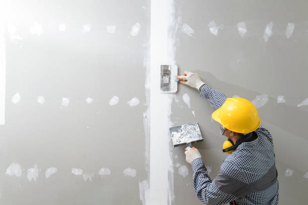 Asbestos and Lead Testing During Mold Inspection in Wynantskill, NY