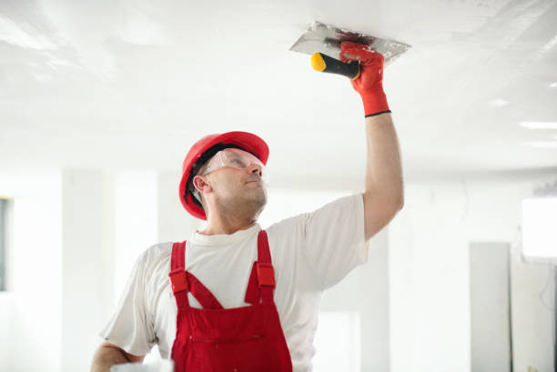 Best Emergency Mold Remediation  in Wynantskill, NY