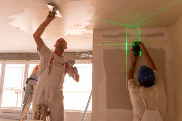 Best Attic Mold Removal  in Wynantskill, NY