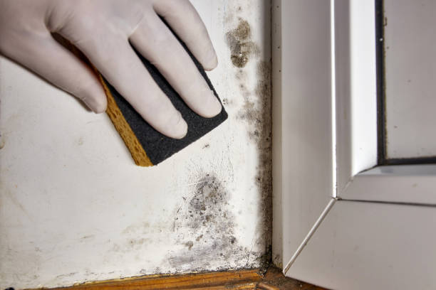 Best Dehumidification Services  in Wynantskill, NY