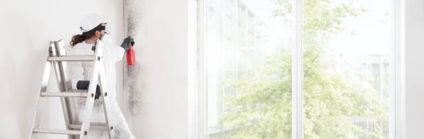 Best Mold Prevention Services  in Wynantskill, NY